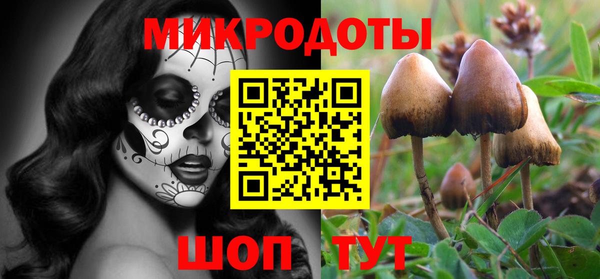 Ангарск  Галлюциногенные грибы Psilocybine cubensis  Вход с VPN 